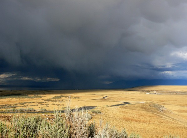 antelope island, utah - (c) e rockstroh (bdm).jpg